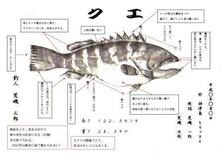 魚拓