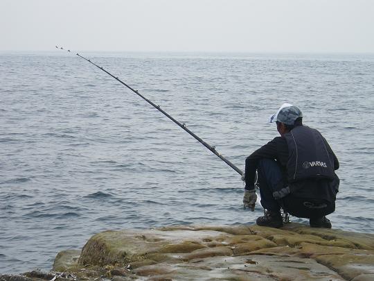 道下 敏樹 氏 中部磯友会予備軍 イシダイ ６５ ５ ２
