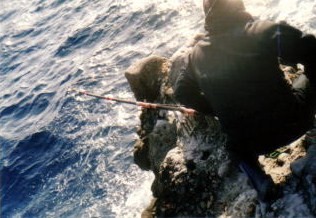 クエ釣りで最大 最悪の外道 ホオジロザメの300 級 クエ釣りで最大 最悪の外道 ホオジロザメの300 級