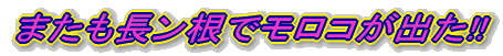 ܂ŃRo!!