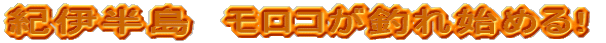 Iɔ@Rނn߂!